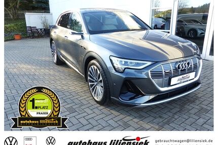 Audi e-tron Gebrauchtwagen
