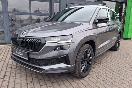 Skoda Karoq Gebrauchtwagen
