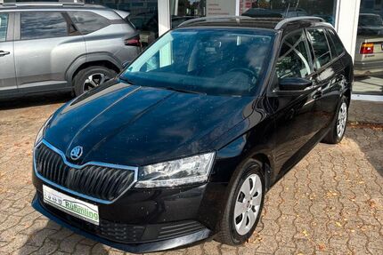 Skoda Fabia Gebrauchtwagen