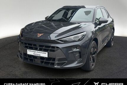 Cupra Terramar Gebrauchtwagen