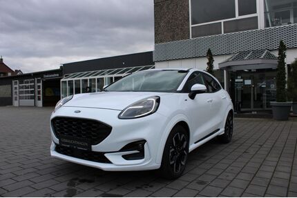 Ford Puma Gebrauchtwagen