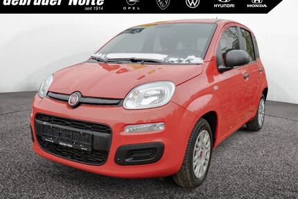 Fiat Panda Gebrauchtwagen