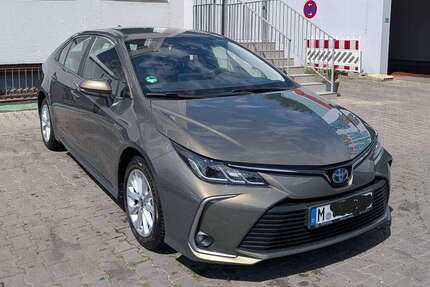 Toyota Corolla Gebrauchtwagen