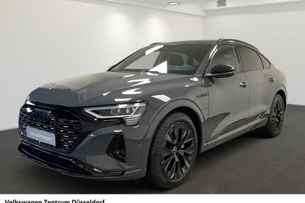 Audi Q8 e-tron Gebrauchtwagen