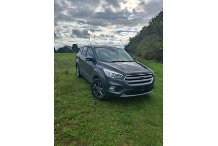 Ford Kuga Gebrauchtwagen