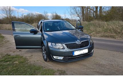 Skoda Octavia Gebrauchtwagen