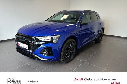 Audi Q8 e-tron Gebrauchtwagen