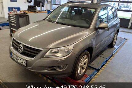 VW Tiguan Gebrauchtwagen