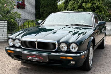 Jaguar XJ8 Gebrauchtwagen