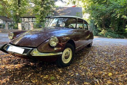 Citroen DS Gebrauchtwagen