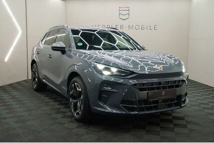 Cupra Terramar Gebrauchtwagen