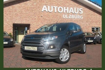 Ford EcoSport Gebrauchtwagen