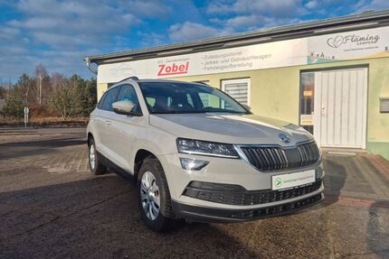 Skoda Karoq Gebrauchtwagen