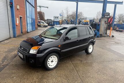 Ford Fusion Gebrauchtwagen