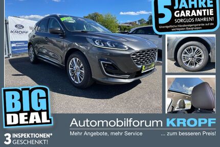 Ford Kuga Gebrauchtwagen