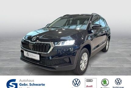 Skoda Karoq Gebrauchtwagen