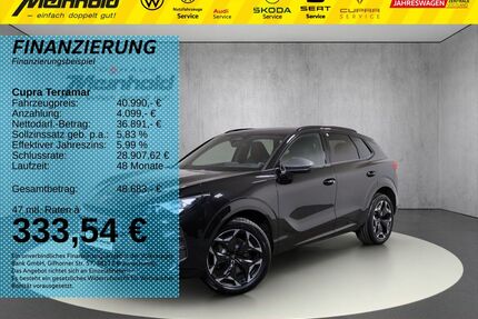 Cupra Terramar Gebrauchtwagen