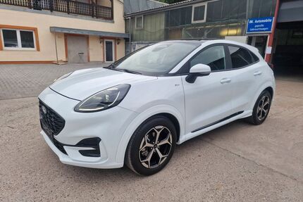 Ford Puma Gebrauchtwagen