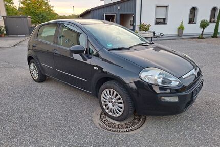 Fiat Punto Evo Gebrauchtwagen