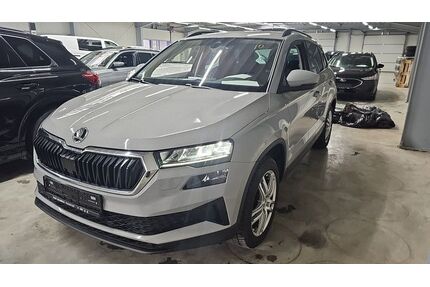 Skoda Karoq Gebrauchtwagen