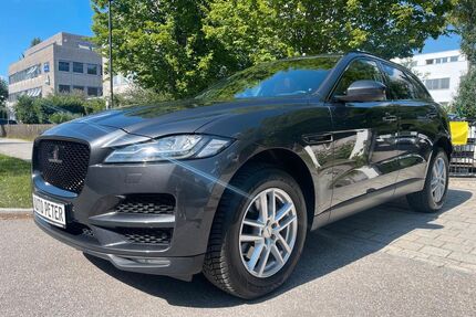 Jaguar F-Pace Gebrauchtwagen