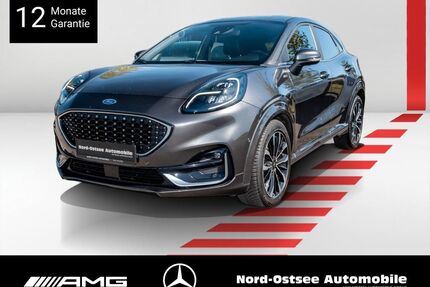 Ford Puma Gebrauchtwagen