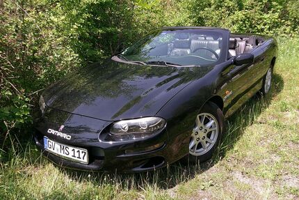 Chevrolet Camaro Gebrauchtwagen