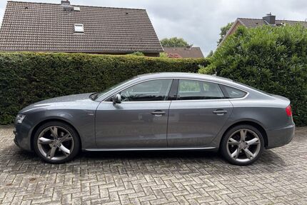 Audi A5 Gebrauchtwagen