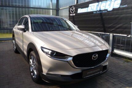 Mazda CX-30 Gebrauchtwagen