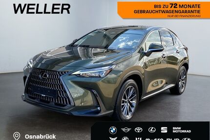 Lexus NX 450h Gebrauchtwagen