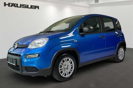 Fiat Panda Gebrauchtwagen