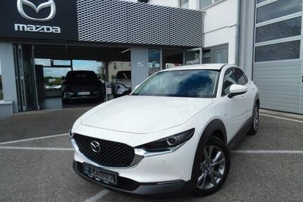 Mazda CX-30 Gebrauchtwagen