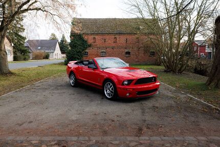 Ford Mustang Gebrauchtwagen