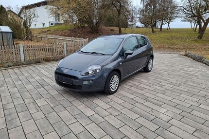 Fiat Punto Gebrauchtwagen