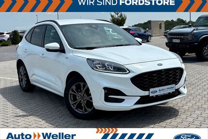 Ford Kuga Gebrauchtwagen