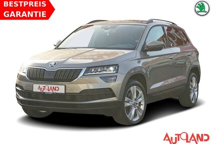 Skoda Karoq Gebrauchtwagen
