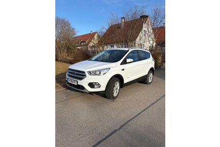 Ford Kuga Gebrauchtwagen