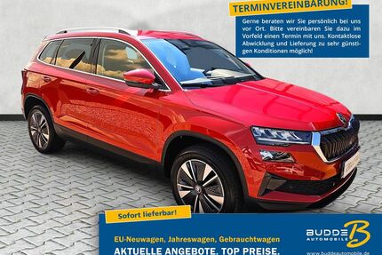 Skoda Karoq Gebrauchtwagen