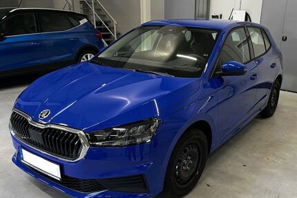 Skoda Fabia Gebrauchtwagen
