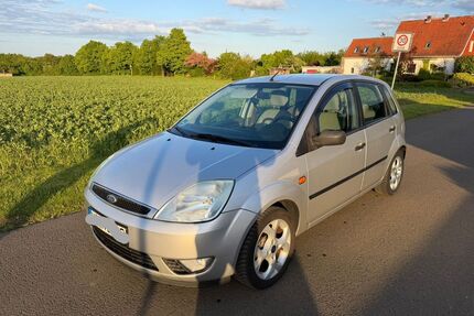 Ford Fiesta Gebrauchtwagen