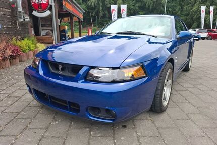 Ford Mustang Gebrauchtwagen