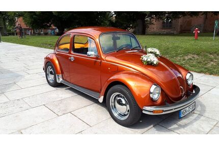 VW Käfer Gebrauchtwagen