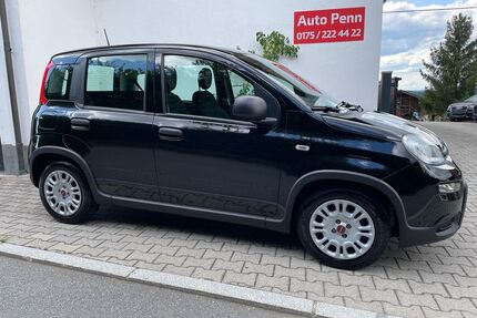 Fiat Panda Gebrauchtwagen