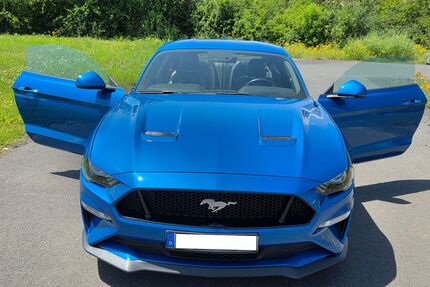 Ford Mustang Gebrauchtwagen