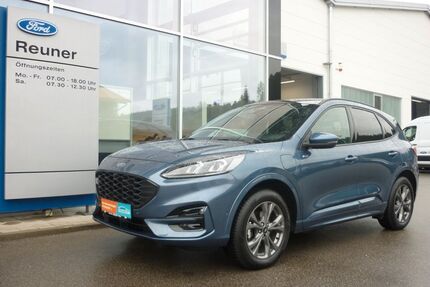 Ford Kuga Gebrauchtwagen