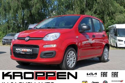 Fiat Pandina Gebrauchtwagen