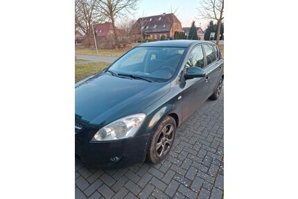 Kia ceed / Ceed Gebrauchtwagen