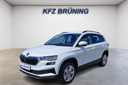 Skoda Karoq Gebrauchtwagen