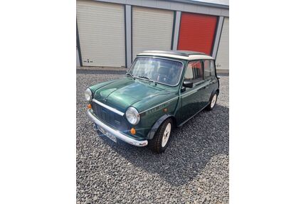 Austin Rover Andere Gebrauchtwagen