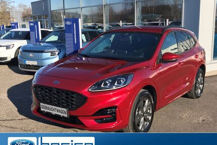Ford Kuga Gebrauchtwagen